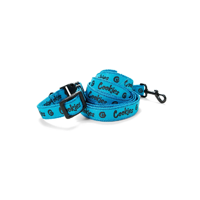 Close-up of mint nylon dog collar with strong hardware for small dogs