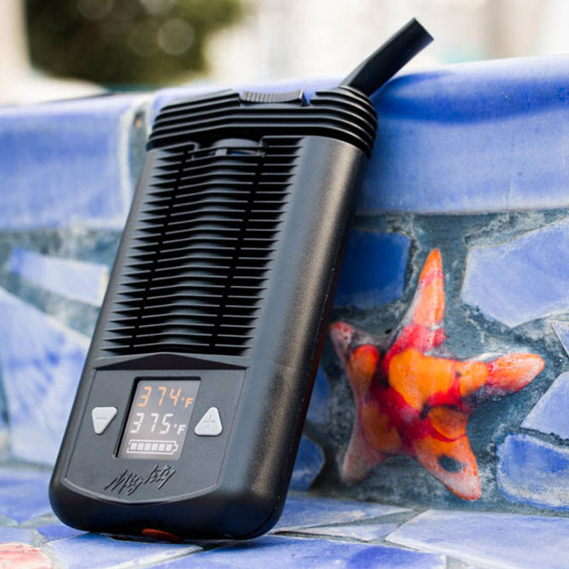 Mighty Pro Portable Vaporizer angled view displaying its robust design and LED screen.
