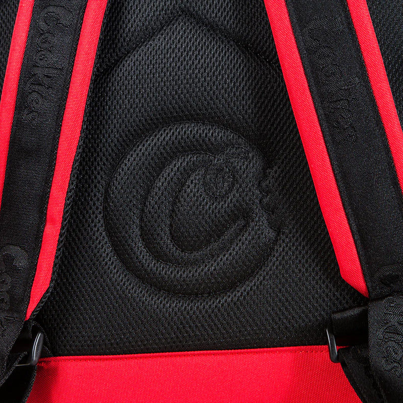 Open main pocket of backpack with organized storage for travel essentials