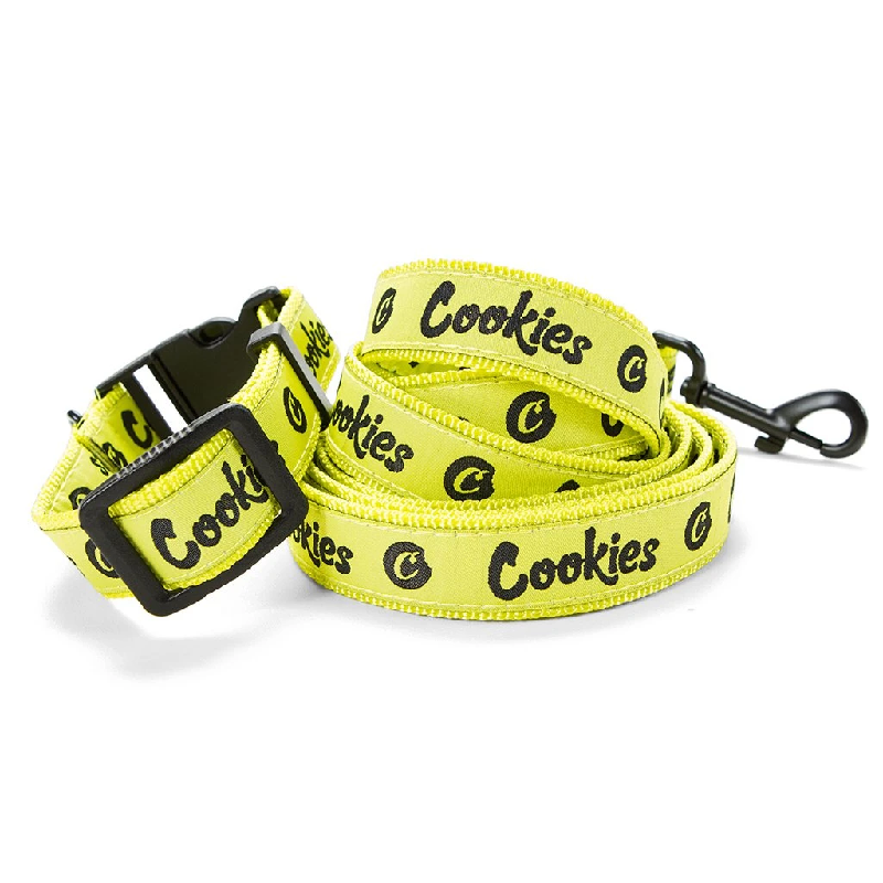 Stylish mint yellow nylon dog collar and leash set on a small dog